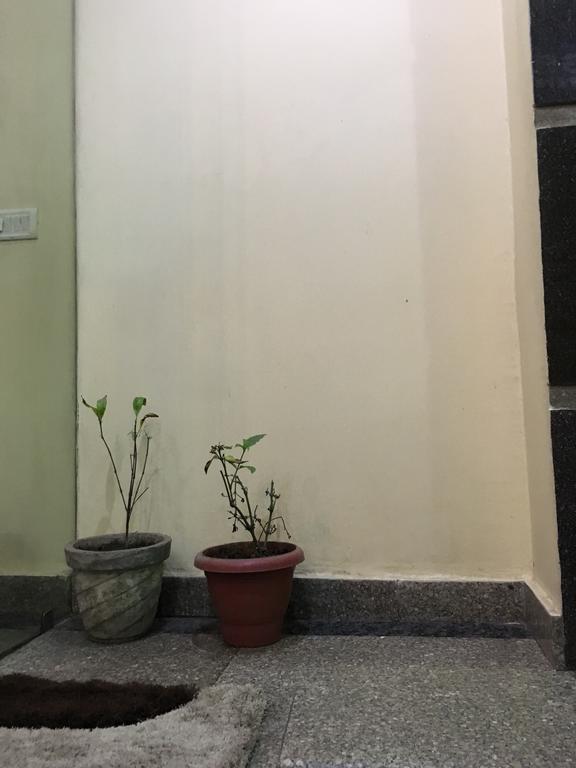 Hotel Vintage Inn New Delhi Luaran gambar